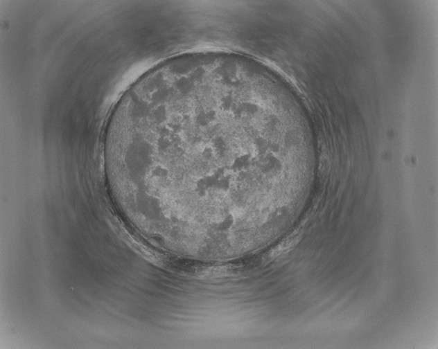 X0000072931367200608111525