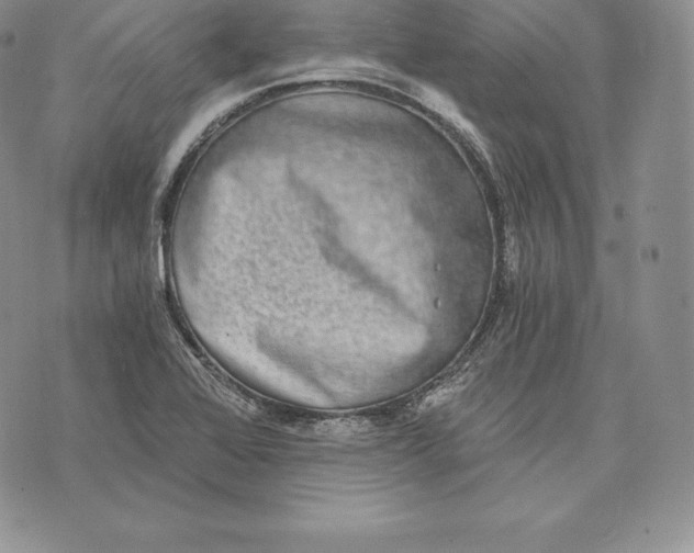 X0000072931368200608111525