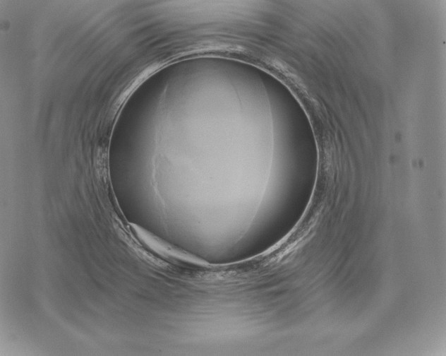 X0000072931369200608111525