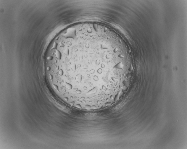 X0000072931371200608111525