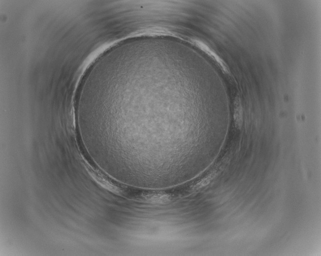 X0000072931372200608111525