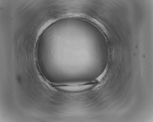 X0000072931373200608111525