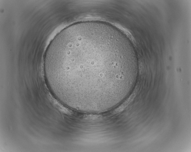 X0000072931374200608111524