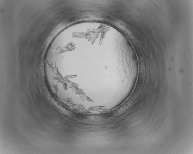 X0000072931375200608111524