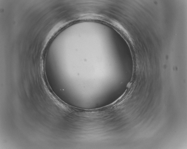 X0000072931376200608111524