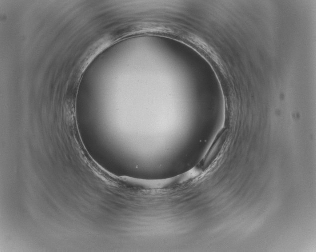 X0000072931377200608111524