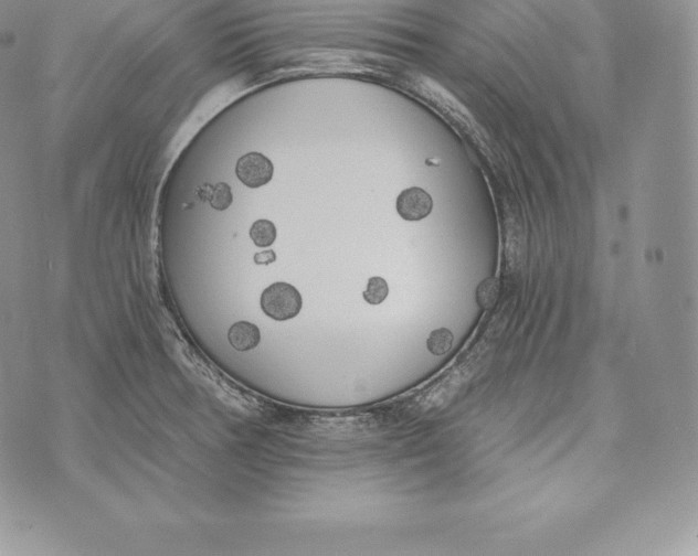 X0000072931378200608111524