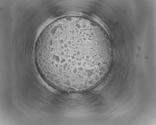 X0000072931379200608111524