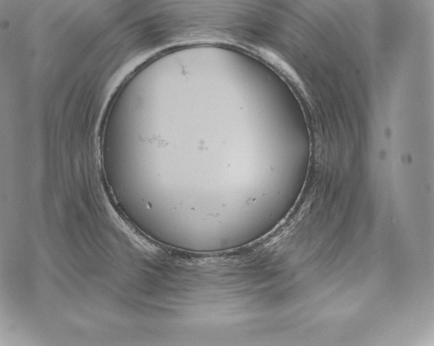 X0000072931380200608111524