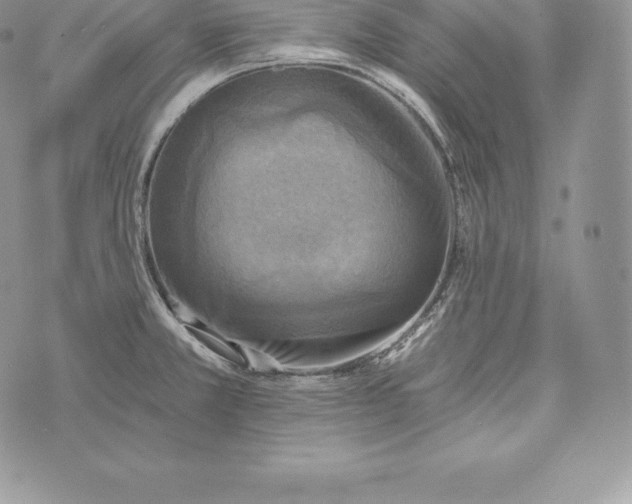 X0000072931381200608111524