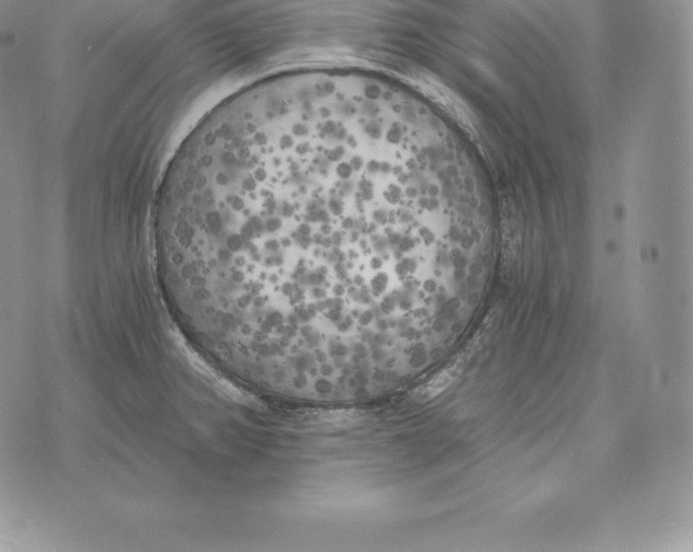 X0000072931382200608111524