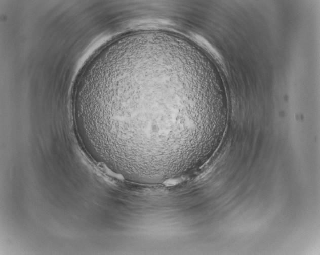 X0000072931384200608111524