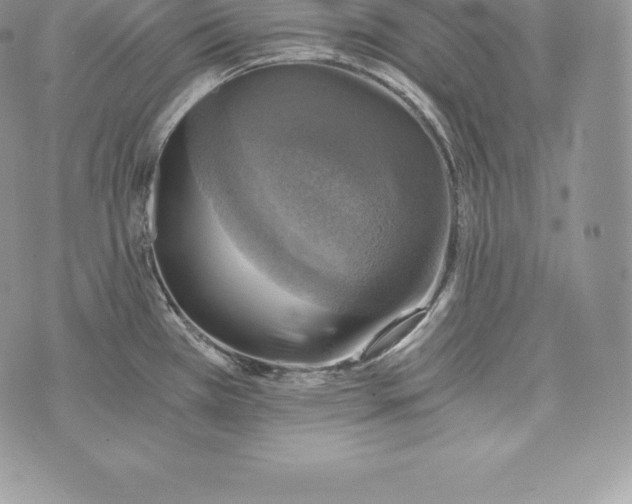 X0000072931385200608111524