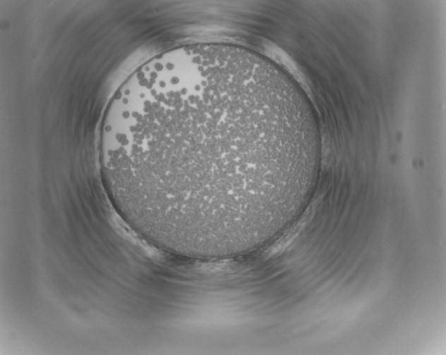 X0000072931386200608111524