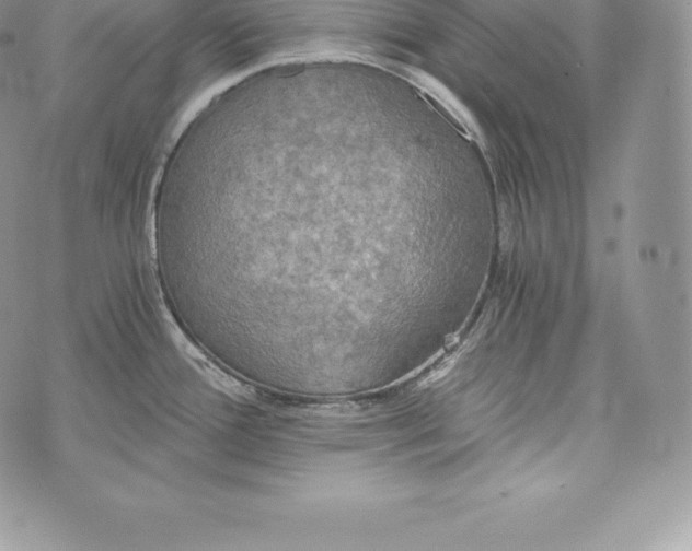 X0000072931388200608111524