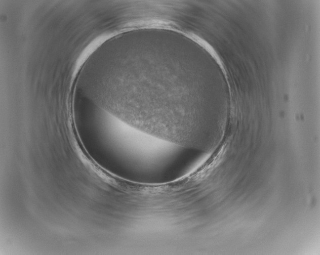 X0000072931389200608111524