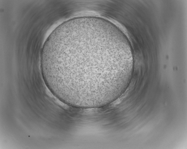 X0000072931390200608111524