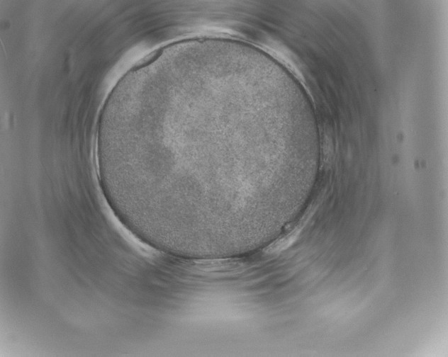 X0000072931391200608111524