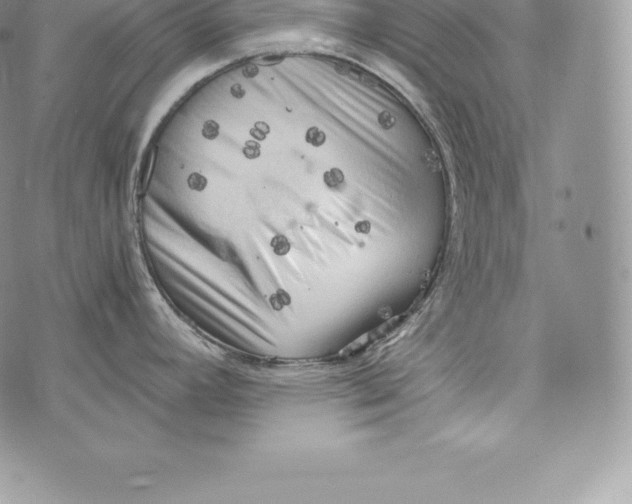 X0000072931392200608111524