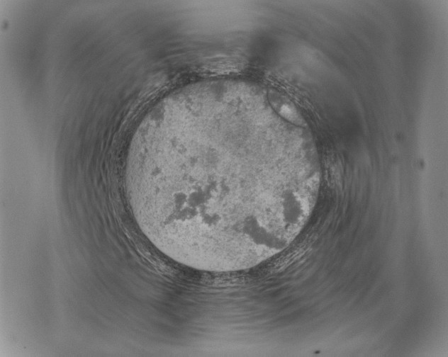 X0000072931393200608111523