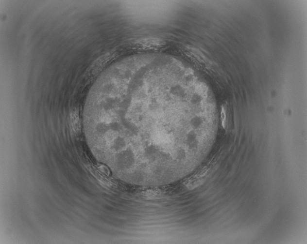 X0000072931395200608111523