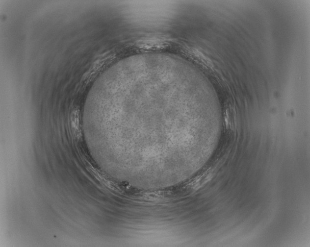 X0000072931396200608111523