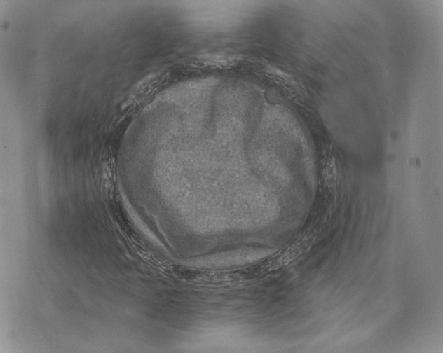 X0000072931397200608111523