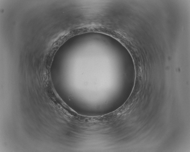 X0000072931398200608111523