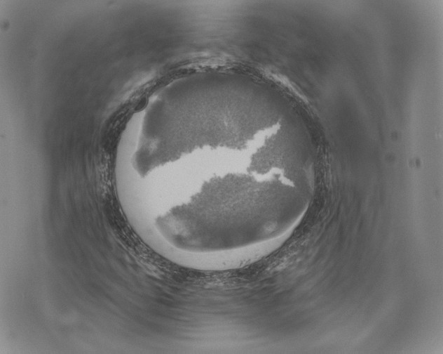 X0000072931399200608111523