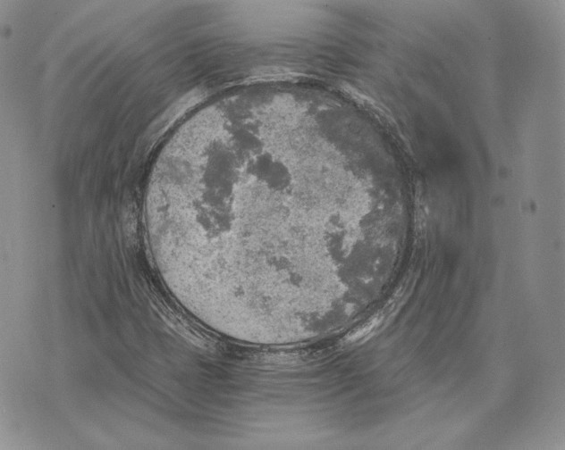 X0000072931401200608111524