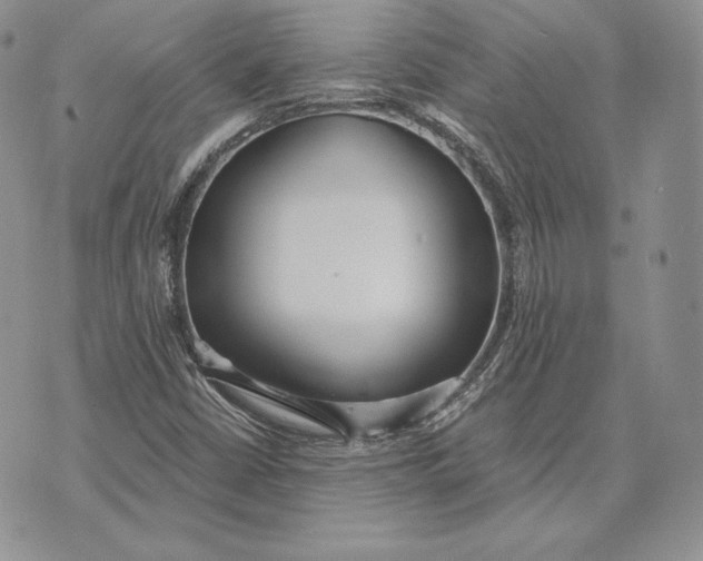 X0000072931402200608111524