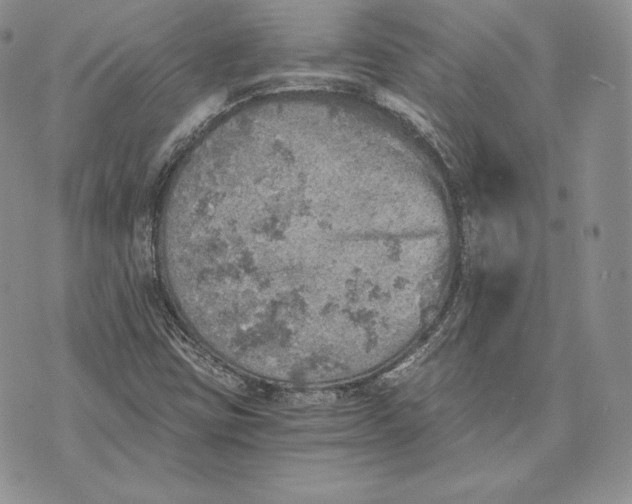 X0000072931403200608111524