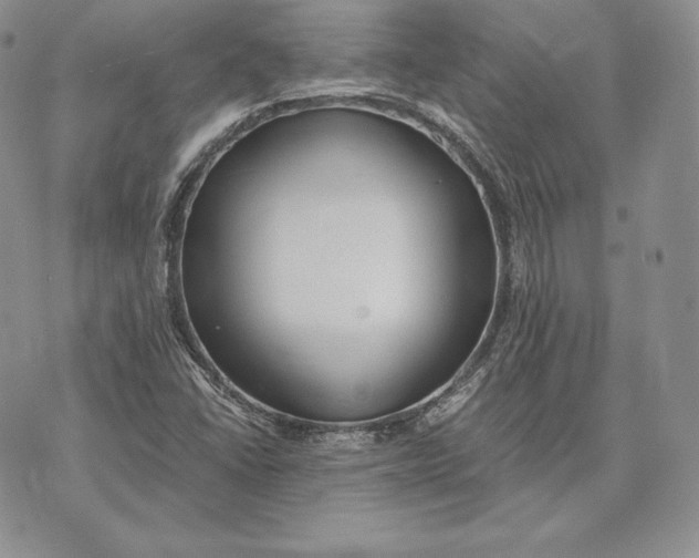 X0000072931406200608111524