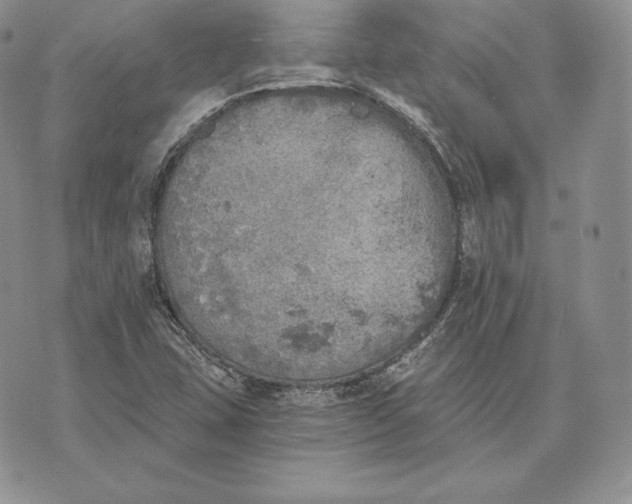 X0000072931407200608111524