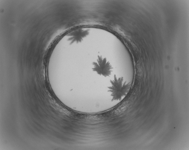 X0000072931408200608111524