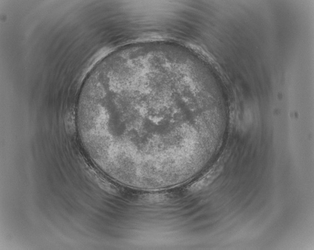 X0000072931409200608111524