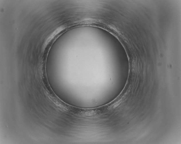 X0000072931410200608111524