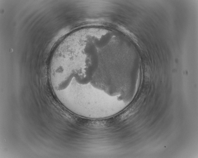 X0000072931411200608111524