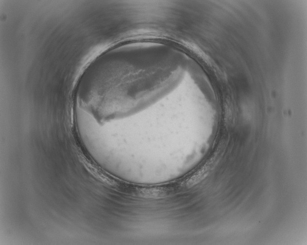 X0000072931413200608111524