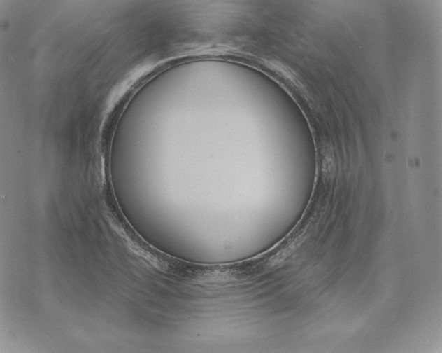 X0000072931414200608111524