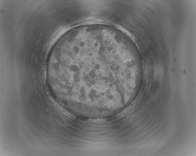 X0000072931415200608111524