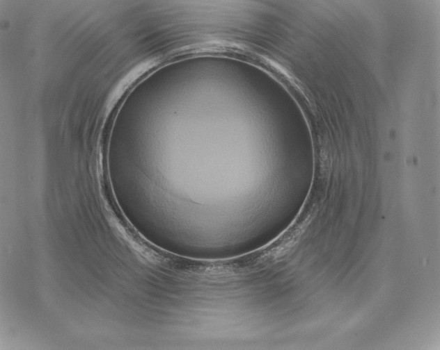 X0000072931418200608111524