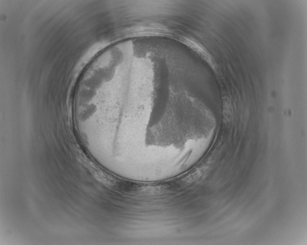 X0000072931419200608111524