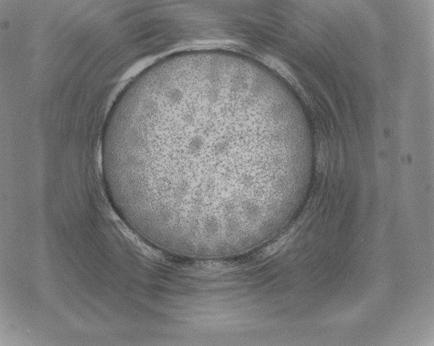 X0000072931420200608111524