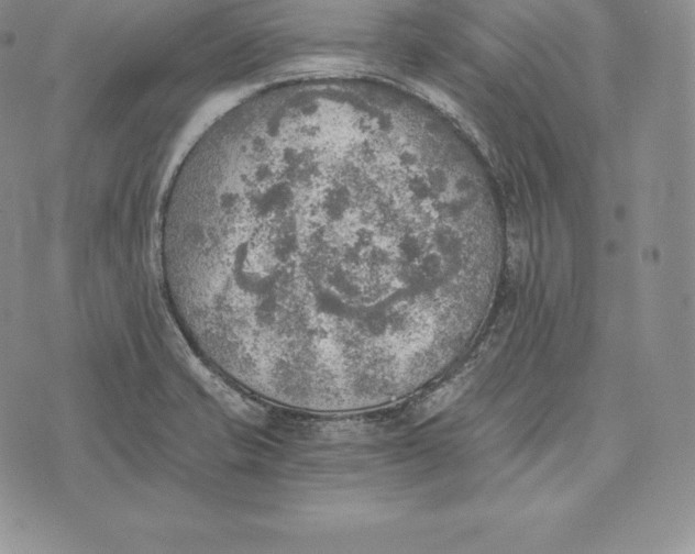 X0000072931421200608111524