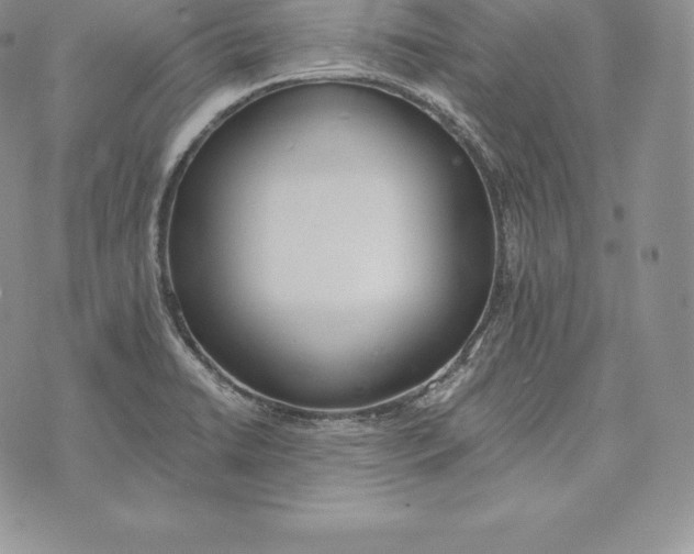 X0000072931422200608111524