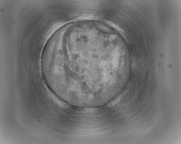 X0000072931423200608111524