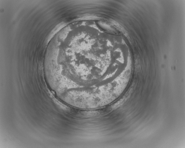 X0000072931425200608111524