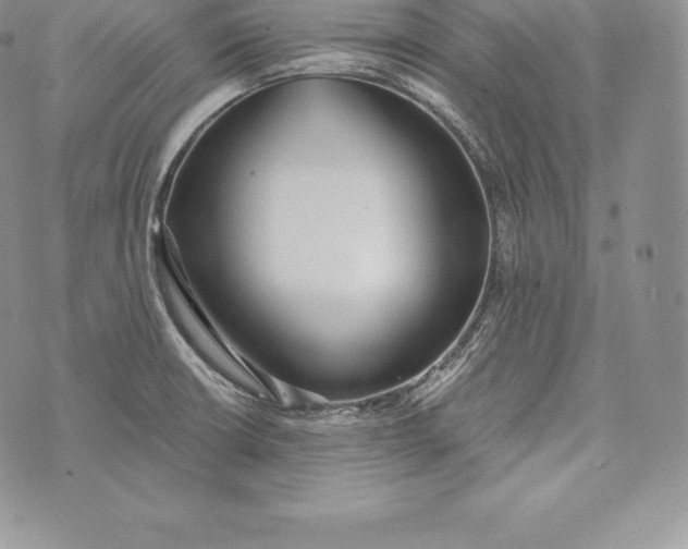 X0000072931426200608111524