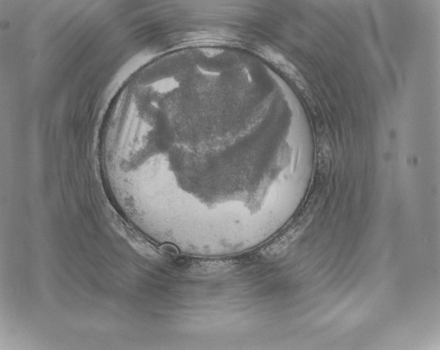 X0000072931427200608111524